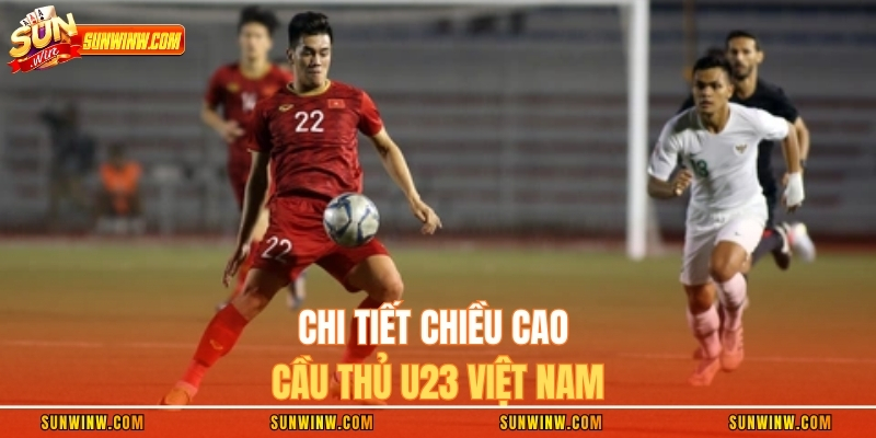 Chi tiết chiều cao cầu thủ U23 Việt Nam